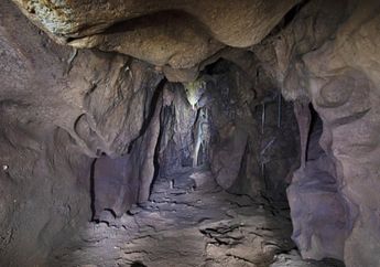 Temuan Ruangan Gua Vanguard: Jejak Rumah Manusia Neanderthal Terakhir?