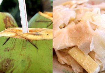 Rahasia Pedagang Lumpia Terkuak, Ternyata Air Kelapa Bisa Bikin Rebung Tak Lagi Bau, Begini Caranya