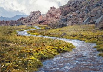 Arti Mimpi Sungai Ternyata Bisa Jadi Pertanda Baik atau Datangnya Masalah? Berikut 5 Penjelasannya