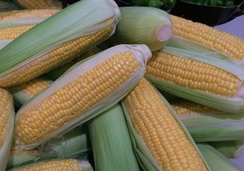 Bikin Tetap Segar dan Manis, Ini 5 Cara Sederhana Menyimpan Jagung Manis di Rumah