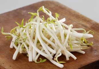 Ibu-ibu Nyesel Banget baru Tau Sekarang! Jangan Lagi Masak Tauge Bersama dengan Akarnya Kalau Nggak Mau Hal Merugikan Ini Terjadi