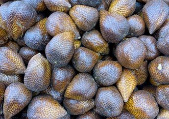   Bisa Bikin Pendek Umur, Tolong Mulai Sekarang Jangan Lagi Mengonsumsi Buah Salak Jika Kamu Sedang Menderita Penyakit Ini, Hentikan Segera!