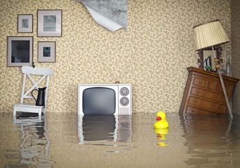 Musim Hujan Mulai Melanda Sebagian Wilayah Indonesia, Yuk Ingat Lagi Cara Mencegah Air Banjir Masuk Rumah, Sederhana Tapi Efektif Banget!