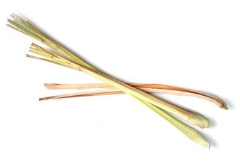 Vitamin Kalah Saing! Coba Minum Air Rebusan Serai Sebelum Tidur, Jangan Kaget Lihat Manfaat untuk Kesehatan Tubuh