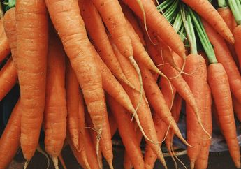 5 Arti Mimpi Wortel Pertanda Baik, Berkaitan dengan Kesehatan sampai Keberhasilan