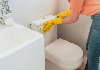 Ibu Rumah Tangga Ini Sampai Nggak Percaya, Coba Siram Air Garam di Kamar Mandi Nanti Malam, Dijamin Cacing Langsung Kocar-kacir Nggak Balik Lagi!