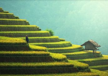 Pembatasan Akan Segera Dihapus, Warga Australia Sudah Diperbolehkan Pergi ke Luar Negeri Termasuk Indonesia, Berikut Daftar 19 Negara Lainnya