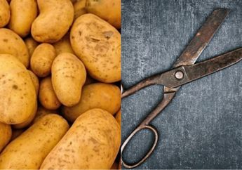 Ngapain Buang Uang Beli Baru? Gunting Berkarat Ternyata Bisa Kinclong Cuma Pakai Sayuran Ini, Hasilnya di Luar Ekspektasi