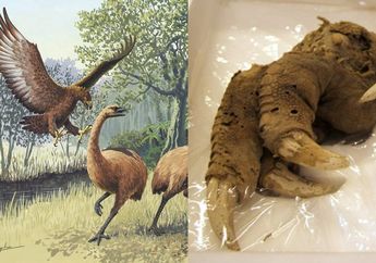 Geger Fosil Cakar Hewan Purba Berusia Ribuan Tahun Ditemukan dalam Keadaan Utuh Seperti Baru Mati, Begini Kata Peneliti!