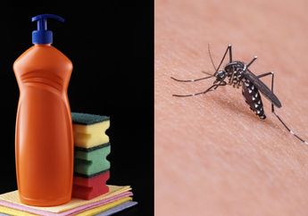 Bye Obat Nyamuk Kimia! Usir Nyamuk Bisa Pakai Deretan Bahan Alami ini Tanpa Bersusah-susah, Ibu-ibu Wajib Baca
