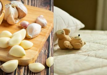 Bukan Cuma Bikin Enak, Bumbu Dapur Sekelas Bawang Putih Ternyata Punya Khasiat Khusus untuk Tubuh Jika Diletakan di Bawah Bantal, Apa Saja?