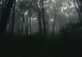 Arti Mimpi tentang Tempat Gelap, Ternyata Mengandung Pertanda Buruk Ini, Simak Makna di Baliknya!