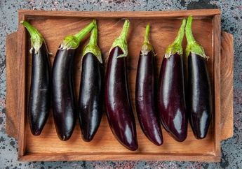 Pejuang Diet Auto Girang! Terong yang Kerap Dianggap Sayuran Sepele Rupanya Punya Manfaat Luar Biasa, Ampuh Bantu Turunkan Berat Badan hingga Cegah Penyakit Ini!