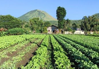 Arti Mimpi Tentang Pertanian Ternyata Berkaitan dengan Peringatan Soal Potensi Diri, Simak Penjelasannya!