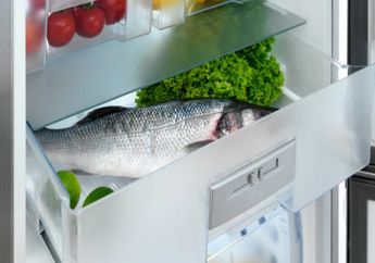 Lakukan Sekarang Kalau Masih Sayang Keluarga, Inilah Tips Menyimpan Ikan di Kulkas Agar Tidak Gampang Busuk dan Nutrisinya Terjaga, Langkah Pertama Paling Penting!