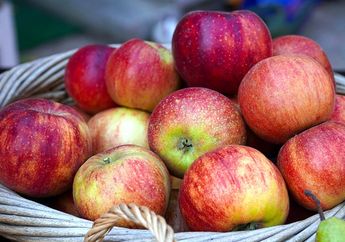 Arti Mimpi Makan Apel Busuk Berulat Terkesan Menjijikkan, Ternyata Makna Penting Ini yang Akan Terjadi