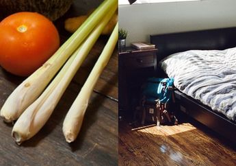 Anti Bahan Kimia Club dengan Modal Bumbu Dapur! Coba Sebelum Tidur Taruh Serai di Samping Kasur, Dijamin Kaget Lihat Hasilnya