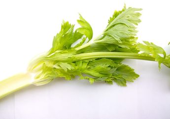 Gak Cuma Sebatas Garnish Soto! Manfaat Seledri untuk Tubuh Ternyata Bukan Kaleng-kaleng, Bisa Hilangkan Deretan Penyakit ini
