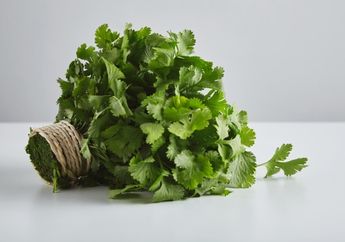 Ampuh, Karang Gigi Dijamin Bisa Langsung Terhempas Hanya Bermodal Daun Peterseli, Begini Caranya!