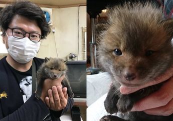 Tak Tega Menemukan Anak Anjing Terlantar, Pria ini Syok Saat Tahu Peliharaannya Ternyata Jenis Hewan Lain