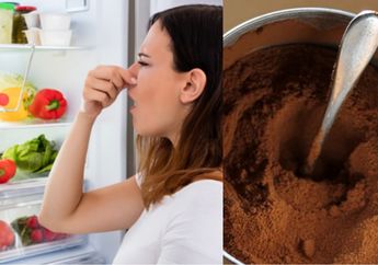 Mulai Nanti Malam, Coba Taruh Dua Sendok Ampas Kopi di Dalam Kulkas, Jangan Kaget Kalau Efek Ajaib Ini Terjadi Keesokan Harinya