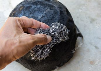Ajaib! Hanya dengan Menggunakan Sabut Besi Cuci Piring, Dapur di Rumah Terbebas dari Kecoak dan Tikus, Begini Caranya