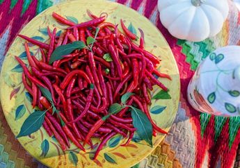 Stop Cuci Cabai dengan Air kalau Tak Mau Nyesal! Ternyata Malah Bisa Bikin Rugi Orang Serumah, ini Penjelasannya