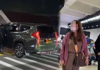 Anggiat Pasaribu yang Viral Berseteru di Bandara Soetta Ternyata Bukan Istri Jenderal, hingga Arteria Dahlan yang Tolak Jalani Mediasi