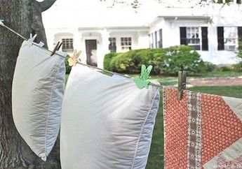 Nyesel Nggak Dengerin Kata Orangtua Zaman Dulu, Ternyata Ada Banyak Manfaat Menjemur Bantal dan Guling, Rugi Kalau Nggak Dilakukan!