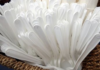 Jangan Tertipu Kesan Praktis! Sendok dengan Bahan ini Ternyata Bisa Undang Bahaya Besar untuk Keluarga