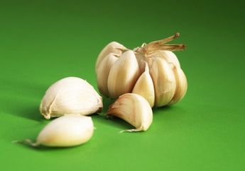 Syok Banget! Cuma Modal Iseng Panggang Bawang Putih untuk Dimakan, Ternyata Deretan Manfaat ini Bisa Dinikmati Sekeluarga
