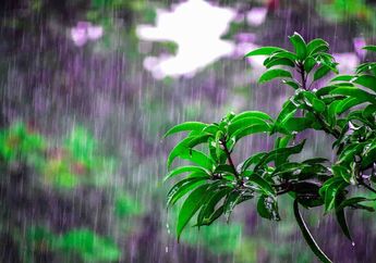 Arti Mimpi Air Hujan Masuk ke Rumah Ternyata Malah Jadi Simbol Bakal Datang Keberuntungan Lho, Simak Penjelasannya