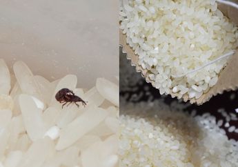 Ibu-ibu Dijamin Girang Lihat ini! Ternyata Begini Cara Ampuh Usir Kutu pada Beras, Modalnya Cuma Bumbu Dapur ini