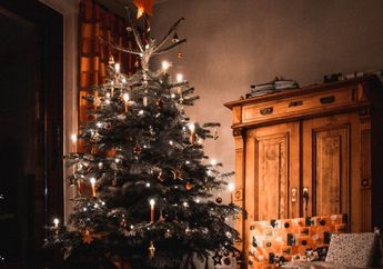 Natal 2021 Tinggal Menghitung Hari, Simak nih Tips untuk Membersihkan Pohon Natal Buatan, Ternyata Gak Ribet loh!