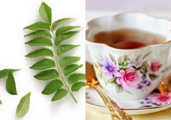 Orang Sakit Pasti Nyesel Baru Tahu, Cuma Rebus Daun Kari Lalu Minum Airnya Secara Rutin, Penyakit Berbahaya Ini Bakal Minggat dari Tubuh!