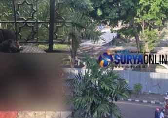Akui Capek dan Pusing Usai Jalan-jalan, Dua Remaja Mesum Saat Siang Bolong di Alun-alun Gresik Tak Ditahan, Terungkap Fakta Soal Status Keduanya