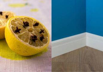 Cuma Taruh Cengkeh dan Lemon di Setiap Sudut Rumah, Wanita Ini Takjub Lihat Efek Ajaib Pada Tempat Tinggalnya, Nggak Bakal Masuk Rumah Sakit Gegara DBD Lagi!