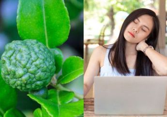 Lebih Ampuh Dari Koyok Cabe Merah, Pakai Buah Murah Meriah Ini Untuk Atasi Pegal Linu yang Tak Tertahankan, Langsung Enteng Badan!
