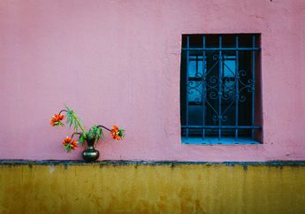 Wajib Tahu! Berikut 3 Warna Cat Rumah yang Harus Dihindari, Ada Hitam dan Pink