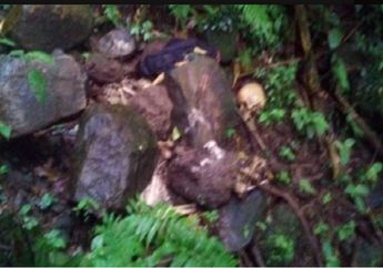 Niat Hati Ingin Mencari Rumput di Hutan Rimba, Pria Ini Justru Dibuat Jantungan Gegara Temukan Tengkorak Manusia, Kepala Desa Ungkap Hal Tak Biasa Ini