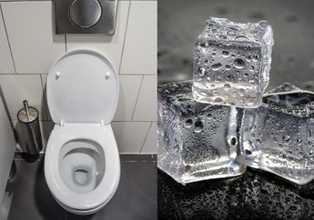 Terheran-heran Lihat Kelakuan Aneh ini, Orang Serumah Dijamin Kaget usai Iseng Masukan Es Batu ke Dalam Kloset, Kok Bisa?