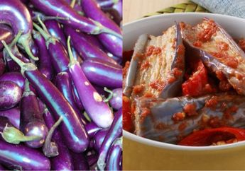 Akhirnya Dibongkar Para Pengusaha Warteg, Coba Taburkan Garam Pada Terong Sebelum Dimasak Lalu Diamkan 30 Menit, Jangan Kaget Kalau Makan Bisa Nambah Berkali-kali!