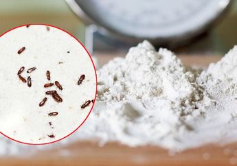 Dapat Bocoran Langsung dari Pedagang, Mengusir Kutu pada Tepung Terigu Ternyata Bisa Menggunakan Bahan Murah Ini, Ibu-ibu Nyesel Baru Tahu!