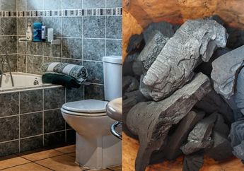 Bukan Buat Sate atau BBQ! Taruh Arang di Kamar Mandi Ternyata Bikin Efek Tak Terduga ini, Pasti Melongo Dibuatnya