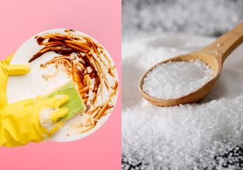 Nggak Sengaja Menjatuhkan Garam ke Wadah Sabun Cuci Piring, Ibu Rumah Tangga Ini Terkejut Ketika Melihat Efek Luar Biasa Ini