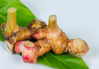 Suami dan Kakek Pasti Nagih Sampe Pagi! Cuma Pakai Olahan Lengkuas ini Nyatanya Bisa Undang Deretan Manfaat Berikut, ini Caranya