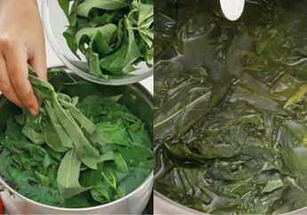 Harganya Nggak Sampai Rp 10 Ribu, Sayuran Ini Ampuh Bikin Tulang Kuat Sampai Tua Nanti, Nggak Bakal Nyesel Makan dari Sekarang!