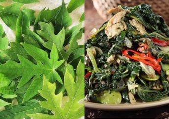 Yang Doyan Makan Lalapan Nyesel Baru Tahu Sekarang, Daun Pepaya Ternyata Nggak Bakal Pahit Kalau Dimasak dengan Cara Ini, Justru Makan Jadi Nambah Berkali-kali!