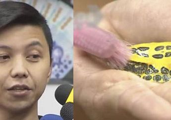 Kerjaannya Cuma Menggosok Cangkang Kura-kura Tapi Dapat Honor Rp 33 Juta Per Bulan, Ternyata Begini Fakta Pria Berprofesi ART yang Pernah Gemparkan Sejagad Raya Ini