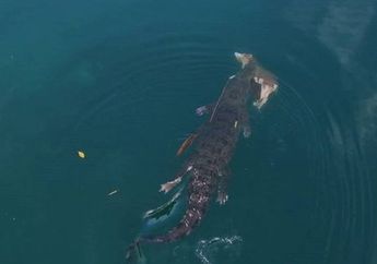 Tak Sengaja Tertangkap Kamera Drone, Beberapa Kejadian Mengerikan Ini Berhasil Bikin Bulu Kuduk Berdiri, Salah Satunya Muncul Penampakan Monster!